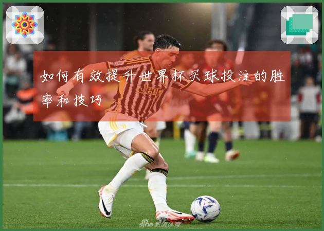 如何有效提升世界杯买球投注的胜率和技巧