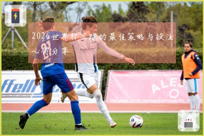 2026世界杯买球的最佳策略与投注心得分享