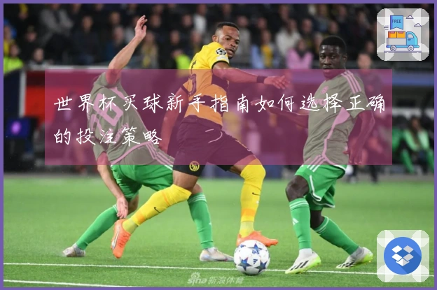 世界杯买球新手指南如何选择正确的投注策略