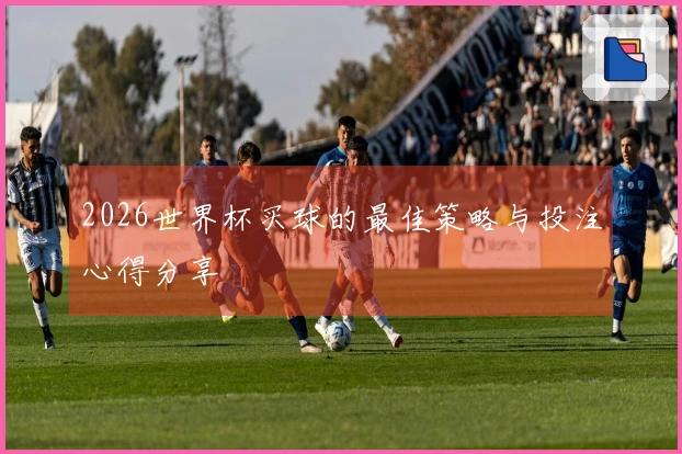 2026世界杯买球的最佳策略与投注心得分享
