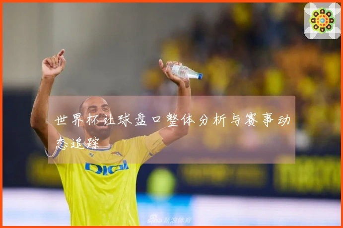 世界杯让球盘口整体分析与赛事动态追踪