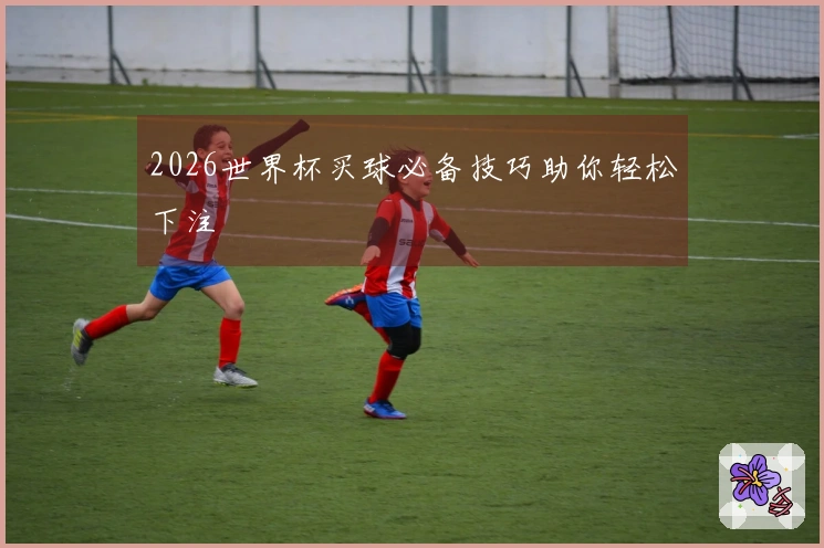 2026世界杯买球必备技巧助你轻松下注